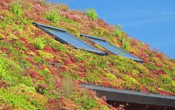 Beighton living roof systems